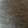 snowleopard624